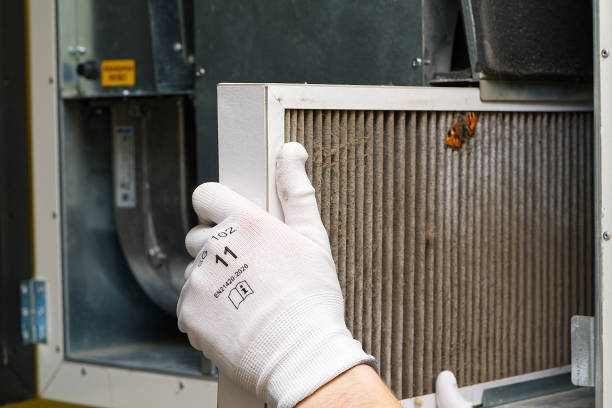 Best Air Duct Cleaning Near Me  in Ignacio, CO