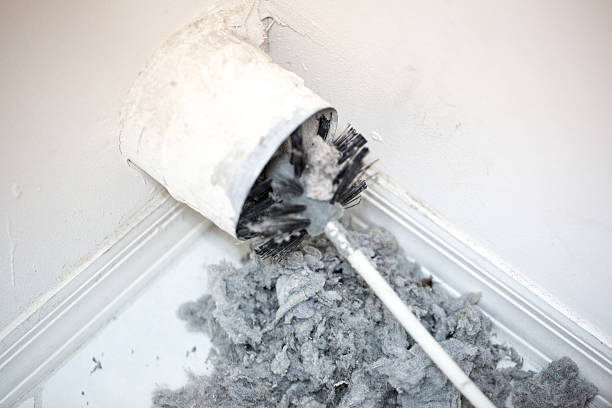 Best Air Duct Cleaning Near Me  in Ignacio, CO