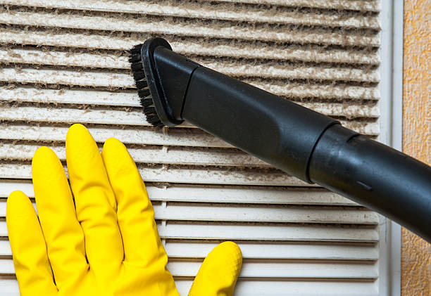 Best Duct Cleaning Specialists  in Ignacio, CO